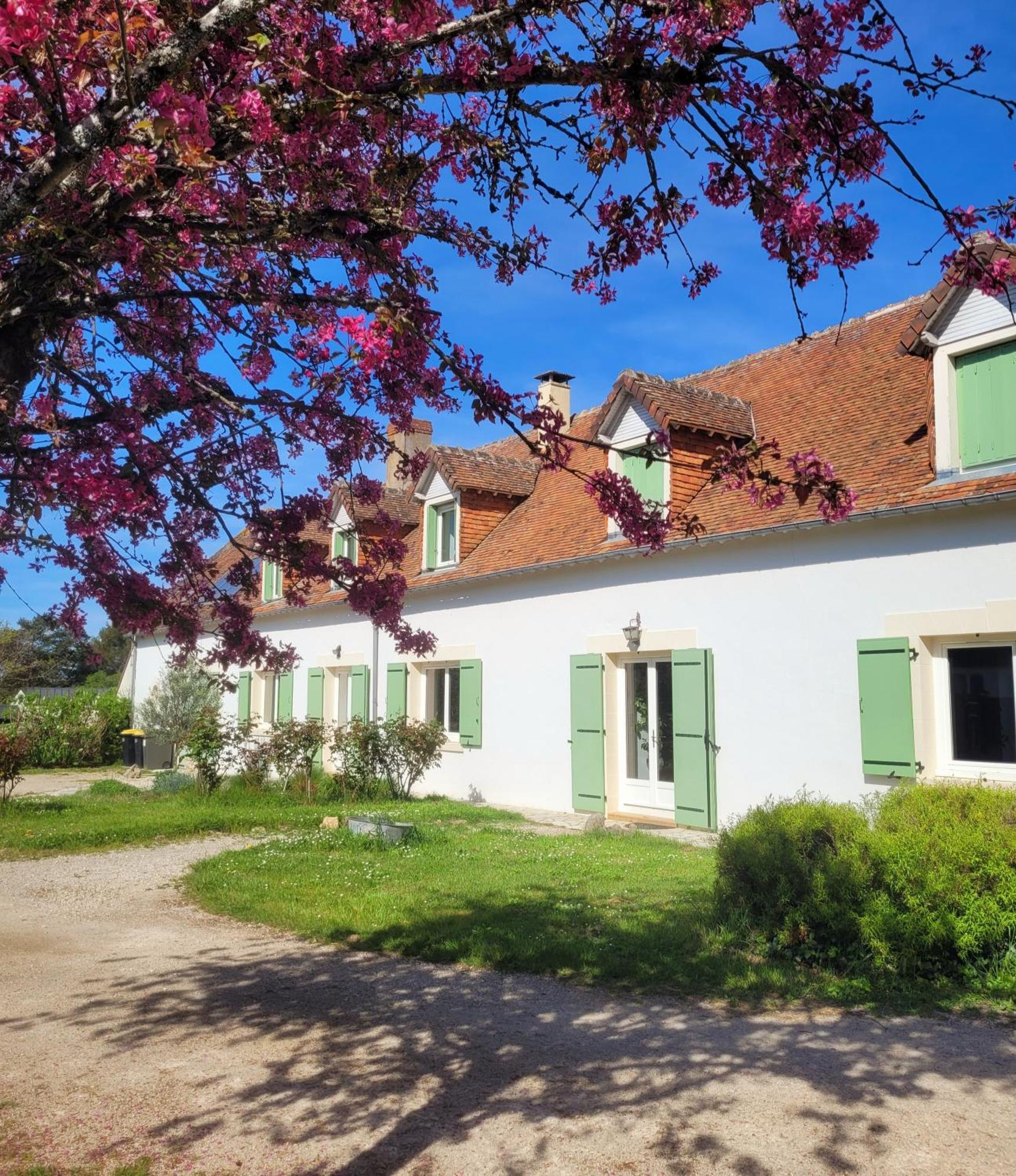 L Amalia Au Coeur Des Chateaux De La Loire Et Du Zoo De Beauval Sambin Exterior foto